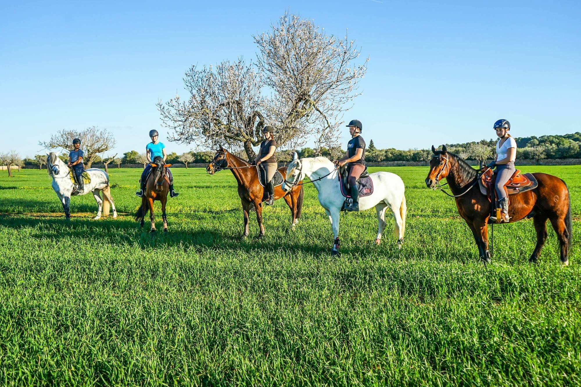 Vmg Horse Ranch (Adults Only) Villa Llucmajor  Exterior photo